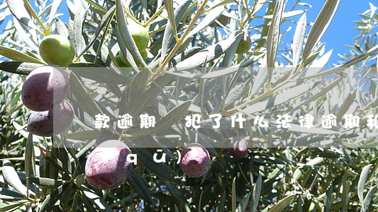還款逾期觸犯了什么法律(逾期和違約還款的區(qū)別)