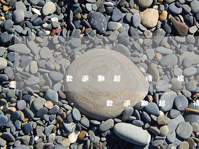 還款逾期起訴待審核會(huì)通知被告嗎-還款逾期起訴待審核會(huì)通知被告嗎知乎