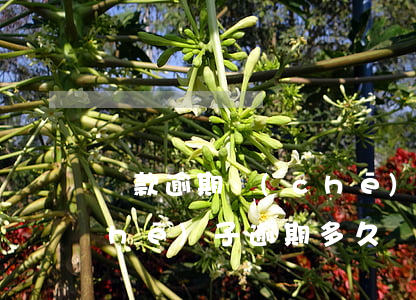 還款逾期車(chē)被gps鎖了(車(chē)子逾期多久會(huì)被gps鎖車(chē))