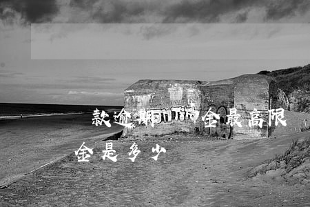 還款逾期違約金最高限額(銀行逾期還款違約金是多少)