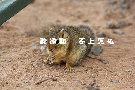 還款逾期還不上怎么辦
