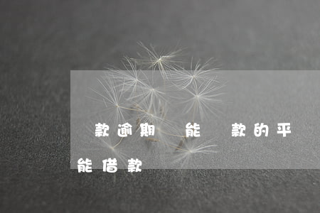 還款逾期還能貸款的平臺(其它平臺逾期了還能借款嗎)