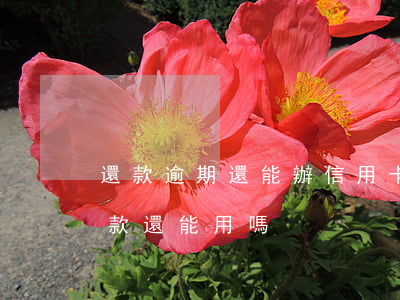 還款逾期還能辦信用卡嗎(信用卡逾期了 還了款 還能用嗎)