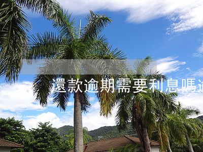 還款逾期需要利息嗎(逾期還款的利息)