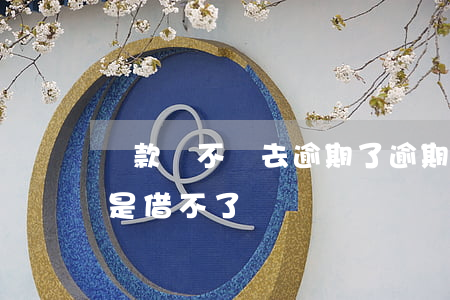 還款還不進去逾期了(逾期已經還了為什么還是借不了)