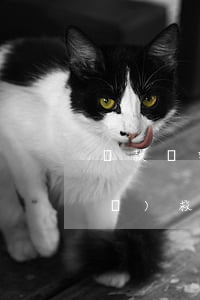 還款還完了逾期怎么辦(逾期還款如何補(bǔ)救)
