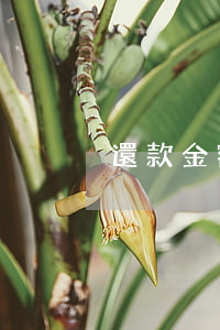 還款金額高于利息，多余錢款能否抵償本金？