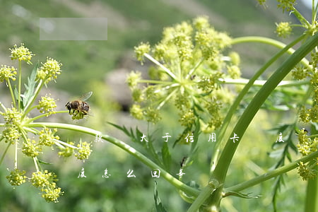還款額大于信用卡額度 還款額大于信用卡額度怎么回事