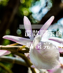 還款顯示逾期了用微信還來(lái)的及嗎(還完款還顯示逾期)