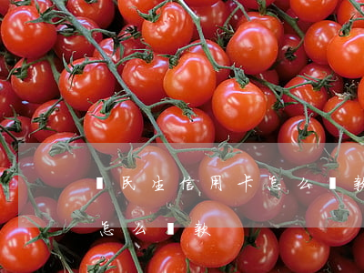 還民生信用卡怎么還款最劃算（還民生信用卡怎么還款）