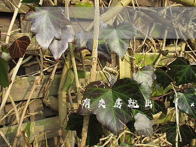 還沒有交房就出現(xiàn)漏水怎么辦