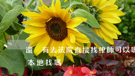 還沒有去法院直接找律師可以嗎(律師只能在本地找嗎)