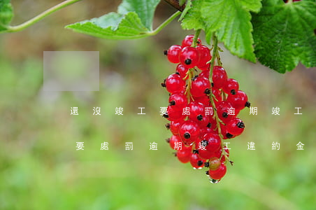 還沒竣工要處罰逾期竣工違約金-還沒竣工要處罰逾期竣工違約金嗎