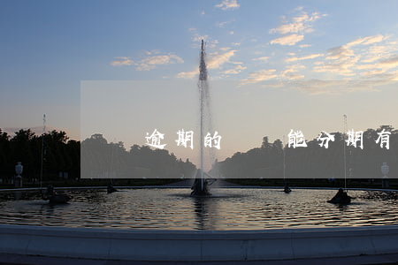 還沒逾期的網貸能分期(有逾期還能網貸嗎)