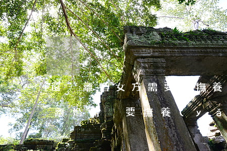 還沒離婚女方需要給撫養(yǎng)費嗎(離婚時沒要撫養(yǎng)費,現(xiàn)在能要嗎)