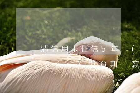 還清信用卡征信5年內(nèi)有逾期 嚴(yán)重逾期還款后5年征信