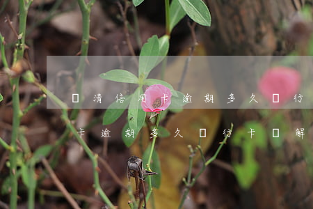 還清信用卡逾期多久銀行卡會解凍(還清信用卡逾期多久銀行卡會解凍)