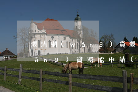 還清網(wǎng)貸還欠信用卡(欠網(wǎng)貸還能申請(qǐng)信用卡嗎)