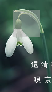 還清花唄京東白條多欠不影響征信-還清花唄京東白條多欠不影響征信吧