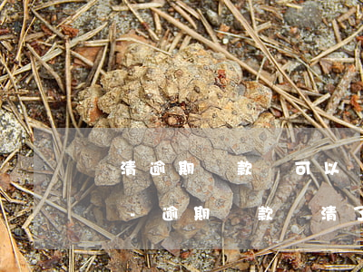 還清逾期貨款還可以辦現(xiàn)金代嗎-逾期貸款還清了,再貸款可以嗎?
