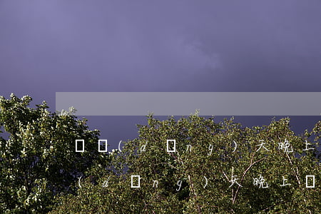 還當(dāng)天晚上還款算逾期嗎(還當(dāng)天晚上還款算逾期嗎)
