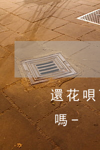 還花唄可以自己改動(dòng)還款金額嗎-