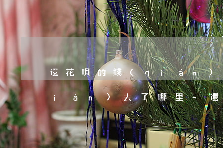 還花唄的錢(qián)還款失敗的錢(qián)去了哪里-還花唄的錢(qián)還款失敗的錢(qián)去了哪里了