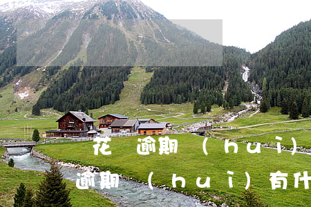還花唄逾期會(huì)有什么影響(還花唄逾期會(huì)有什么影響)