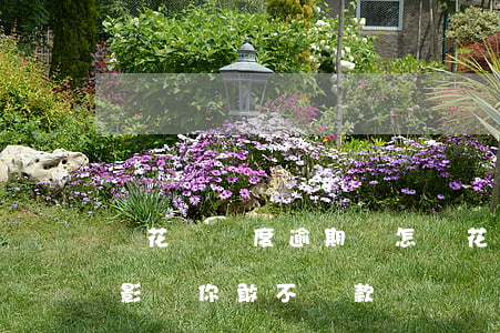 還花唄額度逾期會怎樣(花唄逾期還款有什么影響?你敢不還款嗎)