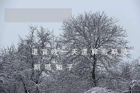 還貸晚一天還算逾期嗎-還貸晚一天還算逾期嗎知乎