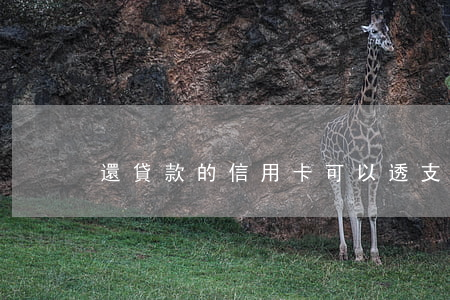 還貸款的信用卡可以透支嗎