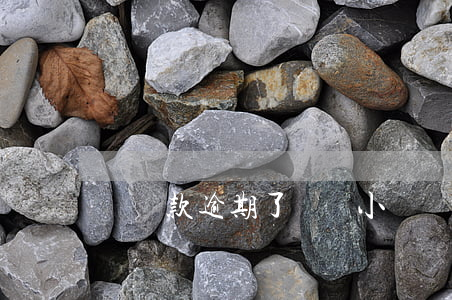 還貸款逾期了兩個小時(還款逾期兩天)
