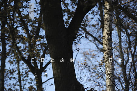 還貸款逾期了怎么還款嗎(貸款還款逾期了怎么辦)