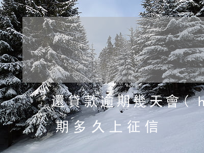 還貸款逾期幾天會(huì)上征信(還款逾期多久上征信)