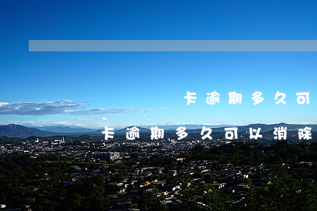 還貸與貸記卡逾期多久可以消除-還貸與貸記卡逾期多久可以消除記錄