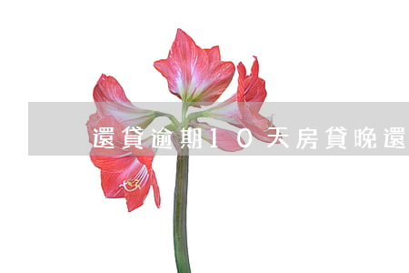 還貸逾期10天(房貸晚還10天算逾期嗎)