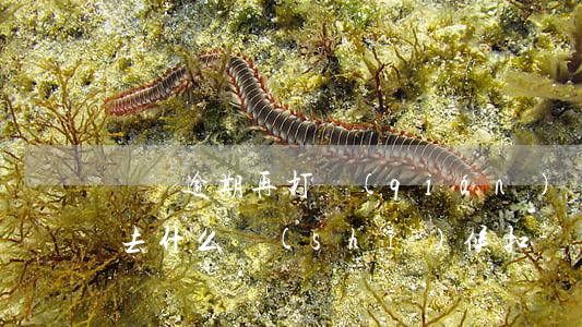 還貸逾期再打錢(qián)進(jìn)去什么時(shí)候扣-還貸逾期再打錢(qián)進(jìn)去什么時(shí)候扣款