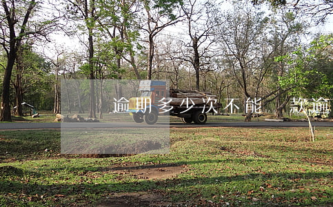 還貸逾期多少次不能貸款(逾期多次還能貸款嗎)