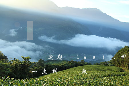 還貸逾期會(huì)影響貸款嗎(逾期還款一次影響貸款嗎)