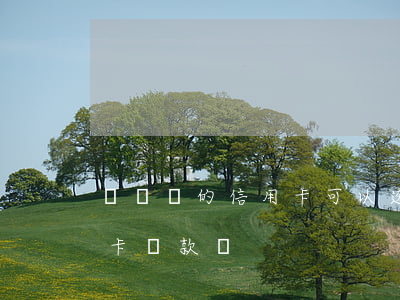 還車貸的信用卡可以透支嗎(車貸不能用信用卡還款嗎)