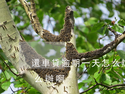 還車貸逾期一天怎么辦-還車貸逾期一天怎么辦啊