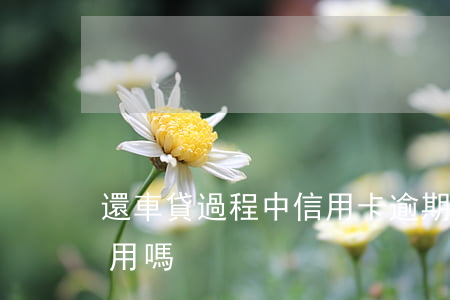 還車貸過程中信用卡逾期(車貸卡逾期影響信用嗎)