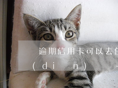 還逾期信用卡可以去任意網(wǎng)點(diǎn)還嗎-還逾期信用卡可以去任意網(wǎng)點(diǎn)還嗎