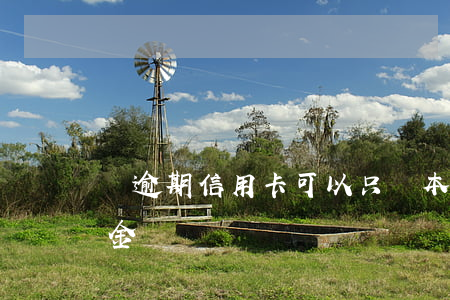 還逾期信用卡可以只還本金嗎(逾期能只還本金嗎)