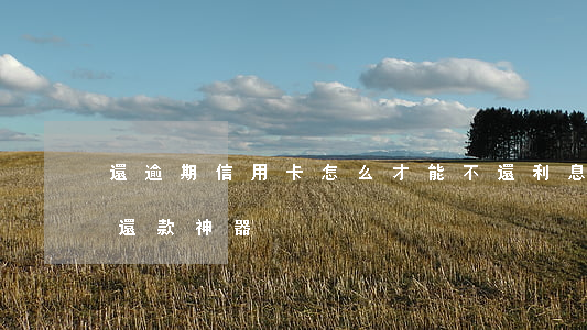 還逾期信用卡怎么才能不還利息（信用卡逾期還款神器）