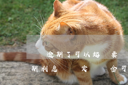 還錢逾期了可以起訴要違約金嘛-約定了逾期利息還約定違約金可以嗎
