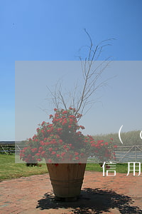 還錯(cuò)信用卡逾期投訴有用嗎(如果說信用卡逾期會(huì)怎么樣)