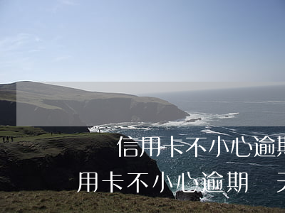 還錯信用卡不小心逾期兩天怎么辦-還錯信用卡不小心逾期兩天怎么辦呢