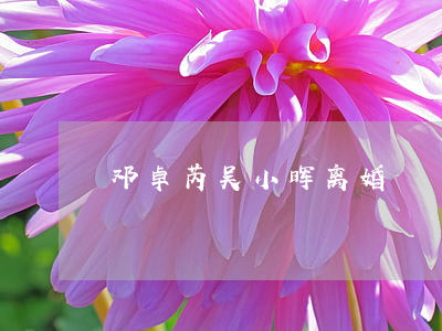 邓卓芮吴小晖离婚