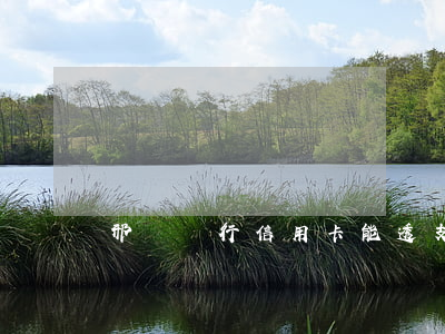 邢臺銀行信用卡能透支嗎(邢臺銀行有信用卡嗎)